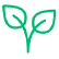 Plant & Forests
