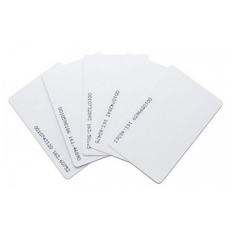 125KHz EM4100/ EM4200 PVC RFID Plain Card LF Blank Card