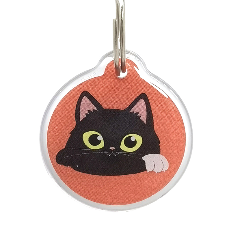 NFC Pet Dog Cat Epoxy Tag