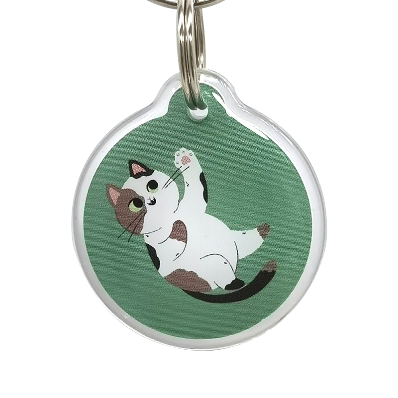 NFC Pet Dog Cat Epoxy Tag
