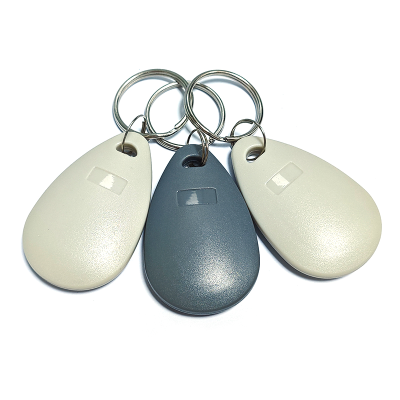 Aceess Control RFID Keyfob TK4100 EM4200 LF ABS Keychain
