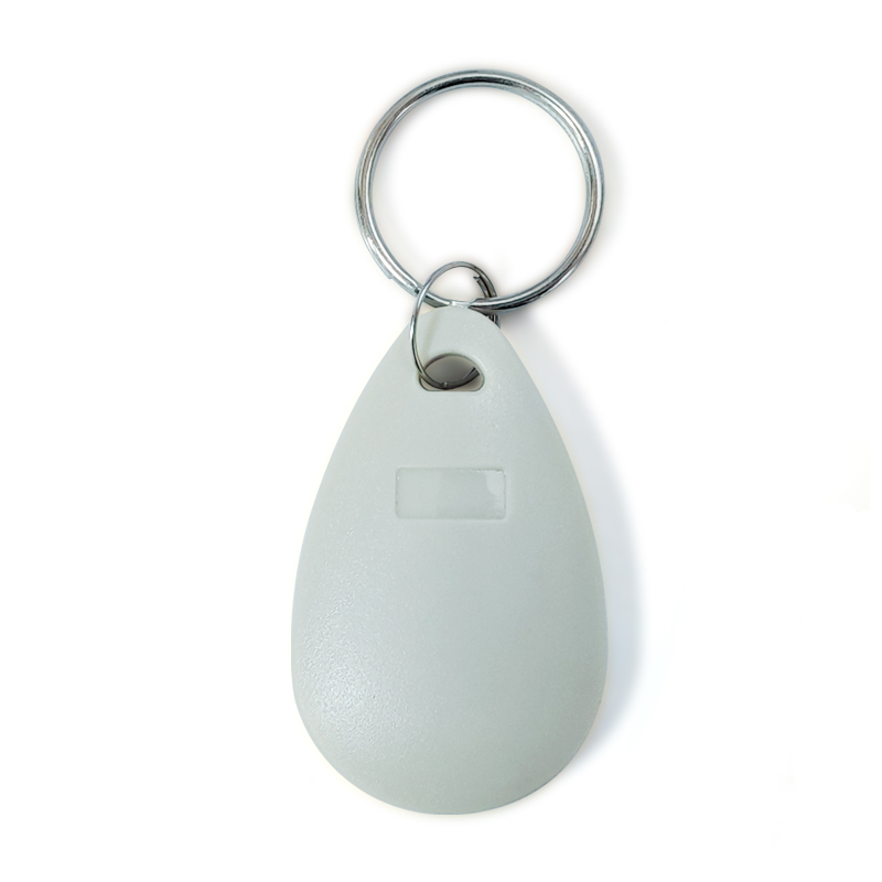 Aceess Control RFID Keyfob TK4100 EM4200 LF ABS Keychain