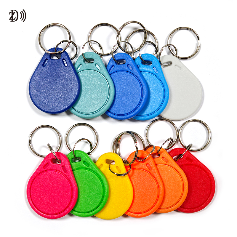 ABS Keychain (12)
